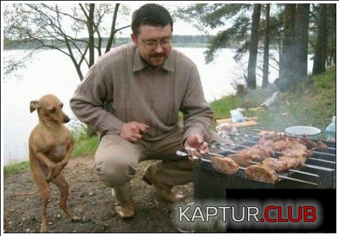 C__Data_Users_DefApps_AppData_INTERNETEXPLORER_Temp_Saved Images_image001.jpg | Рено Каптур Клуб Россия | Форум KAPTUR.SU