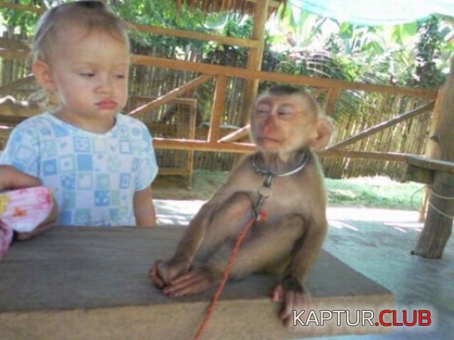 C__Data_Users_DefApps_AppData_INTERNETEXPLORER_Temp_Saved Images_image004.jpg | Рено Каптур Клуб Россия | Форум KAPTUR.SU