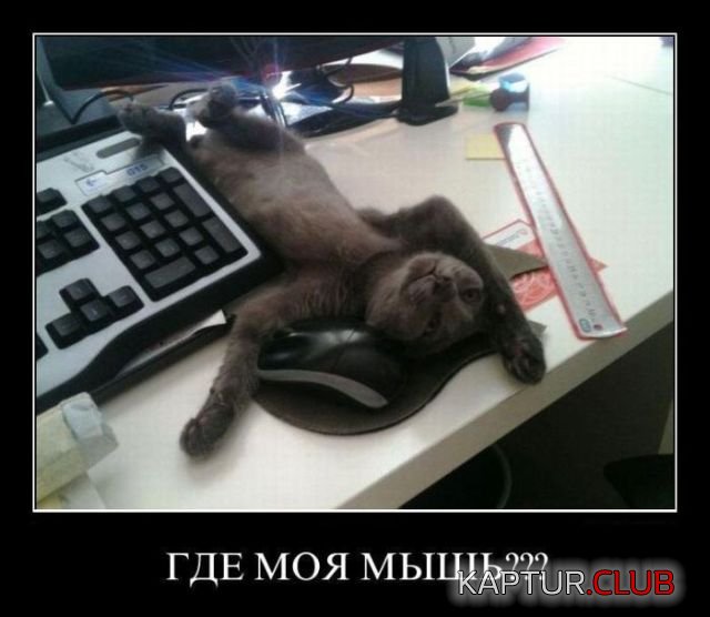 C__Data_Users_DefApps_AppData_INTERNETEXPLORER_Temp_Saved Images_image008.jpg | Рено Каптур Клуб Россия | Форум KAPTUR.SU
