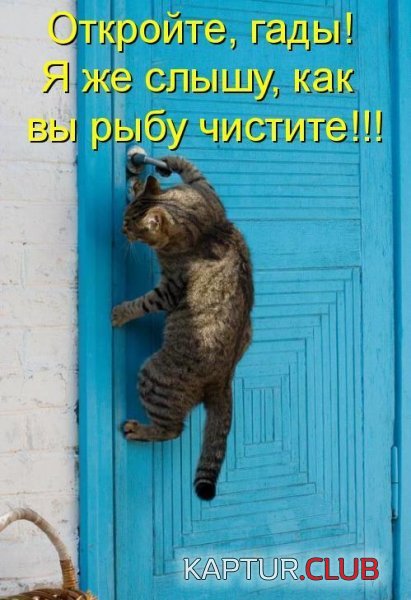 C__Data_Users_DefApps_AppData_INTERNETEXPLORER_Temp_Saved Images_image027.jpg | Рено Каптур Клуб Россия | Форум KAPTUR.SU