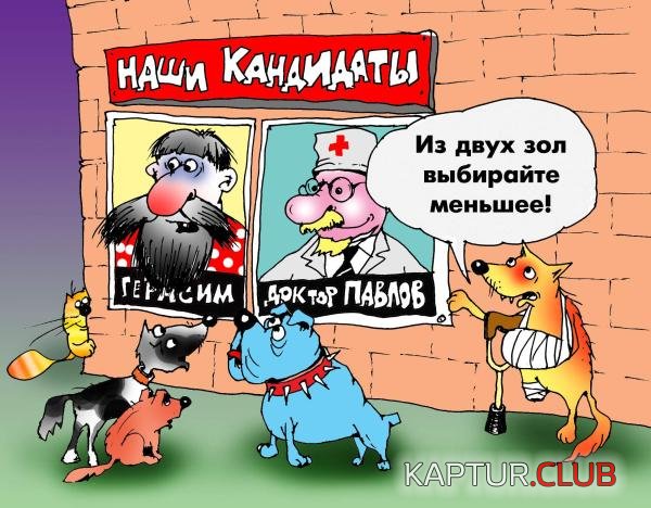 ca318270e591ed0ffb8d2655476cd4fb_full.jpg | Рено Каптур Клуб Россия | Форум KAPTUR.SU