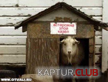 ca641cef7d70330fc627d37e230a7638_full.jpg | Рено Каптур Клуб Россия | Форум KAPTUR.SU