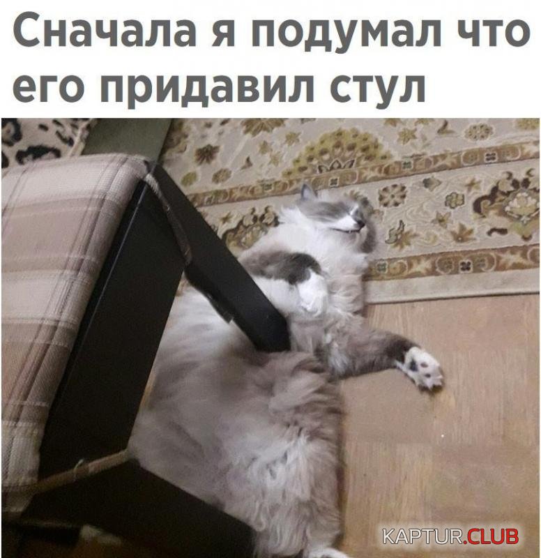 ca6ad19c2ab8a863b83ce9438b7_prev.jpg | Рено Каптур Клуб Россия | Форум KAPTUR.SU