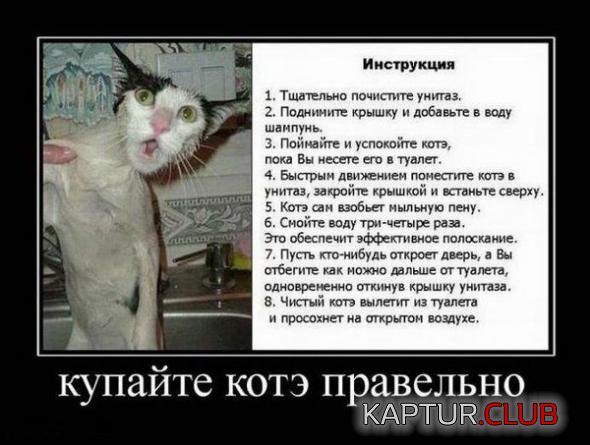 caa90cd6e401b19d79001ee3cf9_prev.jpg | Рено Каптур Клуб Россия | Форум KAPTUR.SU