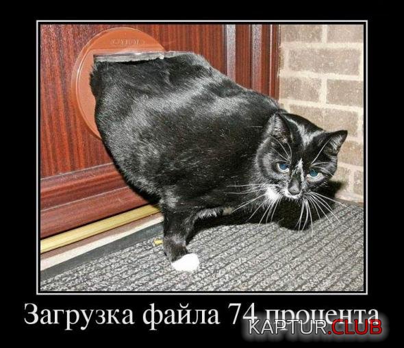cacade264b39bd45a26409c0915_prev.jpg | Рено Каптур Клуб Россия | Форум KAPTUR.SU