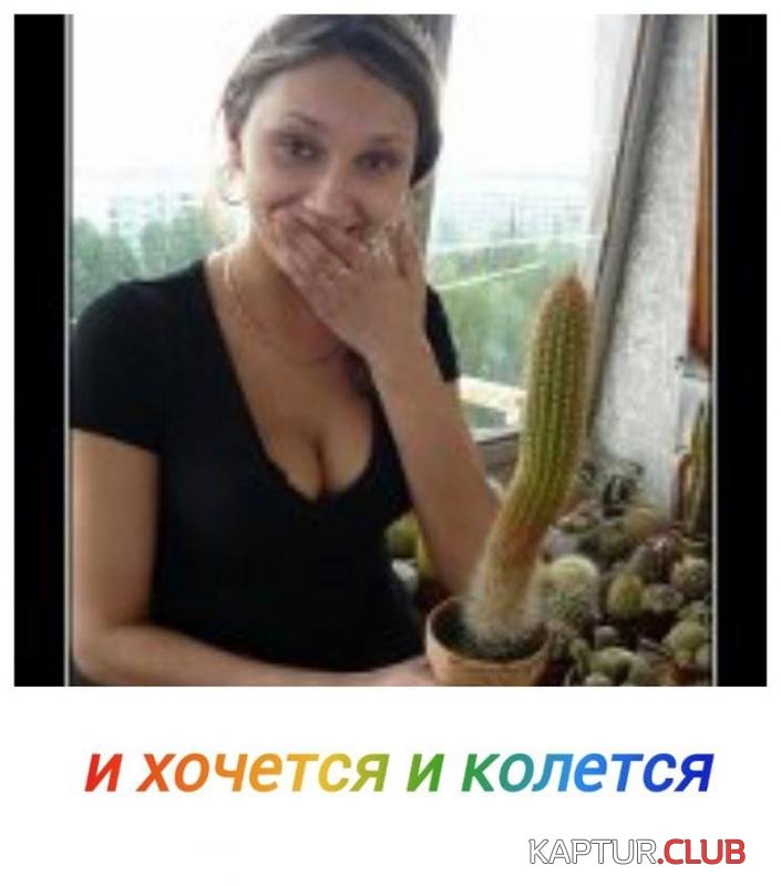 cad9040c3f00e93ae5a10b39519_prev.jpg | Рено Каптур Клуб Россия | Форум KAPTUR.SU