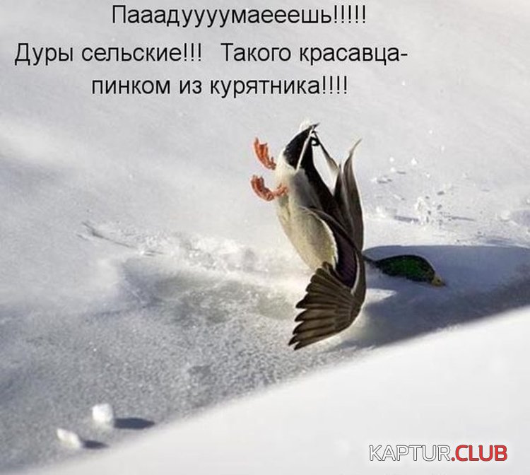 cae8a7e752df1033dc02ca85157.jpg | Рено Каптур Клуб Россия | Форум KAPTUR.SU