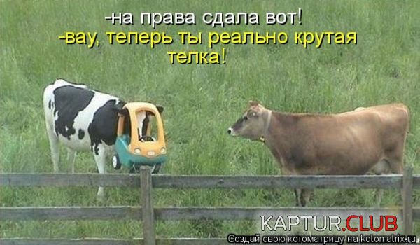 caea8cc6baa234c23fa8057f719df1d6.jpg | Рено Каптур Клуб Россия | Форум KAPTUR.SU