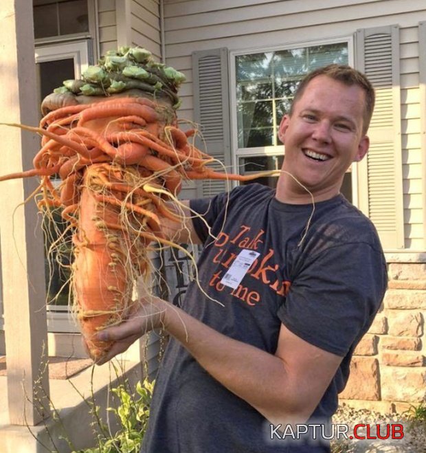 carrot_01.jpg | Рено Каптур Клуб Россия | Форум KAPTUR.SU