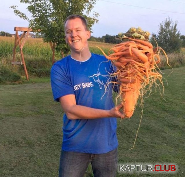 carrot_02.jpg | Рено Каптур Клуб Россия | Форум KAPTUR.SU