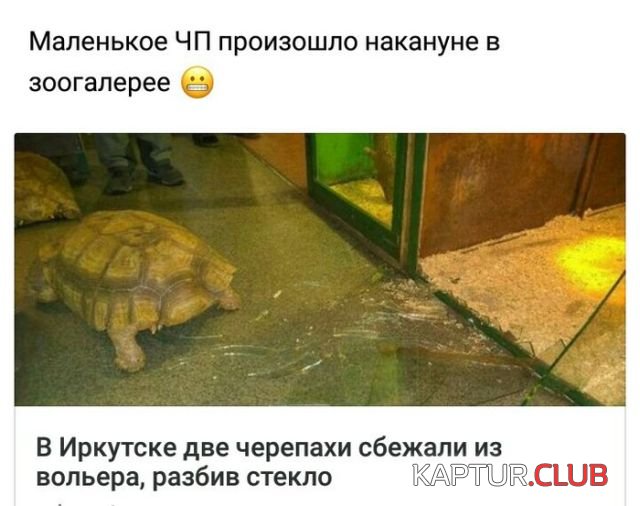 cb6a1faf2b4f3b0c5f65668f8f5.jpg | Рено Каптур Клуб Россия | Форум KAPTUR.SU
