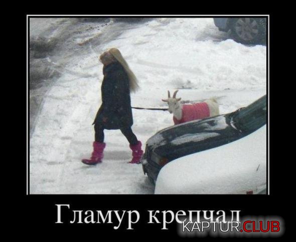 cb73002245c07b52171fa859155_prev.jpg | Рено Каптур Клуб Россия | Форум KAPTUR.SU