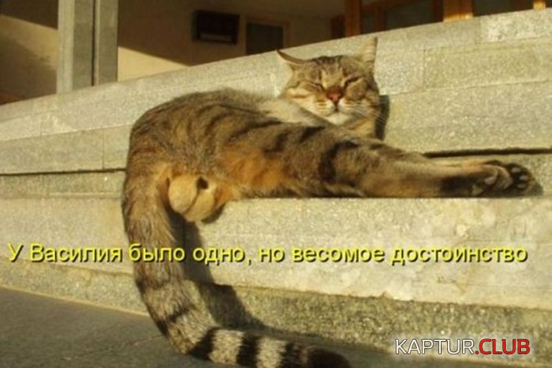 cbab7786029942e375817a3979f.jpg | Рено Каптур Клуб Россия | Форум KAPTUR.SU