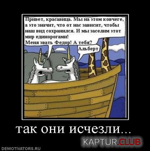 cbe63d68eb3141f84e3dd019bfb.jpg | Рено Каптур Клуб Россия | Форум KAPTUR.SU