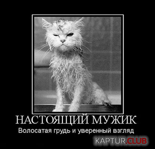 cc34b1f7c4b027ff6852ea66709_prev.jpg | Рено Каптур Клуб Россия | Форум KAPTUR.SU