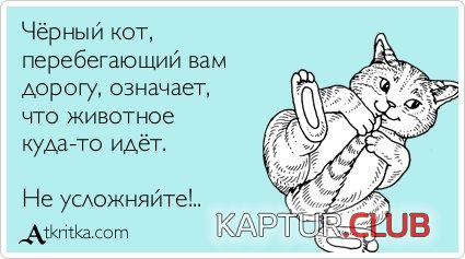 cc4b8ec1119f254f9c89f7cd804.jpg | Рено Каптур Клуб Россия | Форум KAPTUR.SU