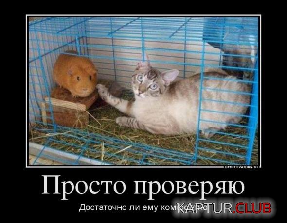 cc590b71529edde59d38bdf13b9_prev.jpg | Рено Каптур Клуб Россия | Форум KAPTUR.SU
