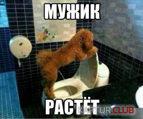 ccc2932f9960223ae3ea92694ba.jpg | Рено Каптур Клуб Россия | Форум KAPTUR.SU