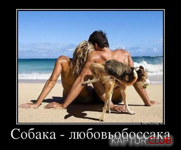 ccd5e29b9fef9679173368102b0_prev.jpg | Рено Каптур Клуб Россия | Форум KAPTUR.SU