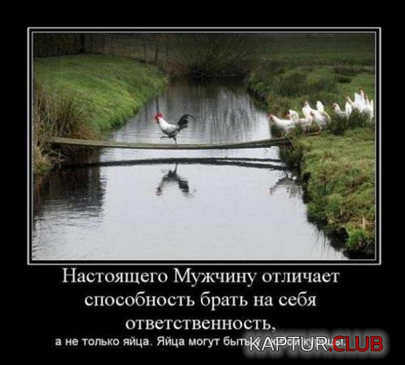 cce377eea41b714ef0aa653754b_prev.jpg | Рено Каптур Клуб Россия | Форум KAPTUR.SU