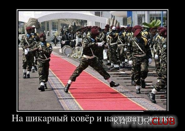 cd03272613649a6e0fdaed454d2_prev.jpg | Рено Каптур Клуб Россия | Форум KAPTUR.SU