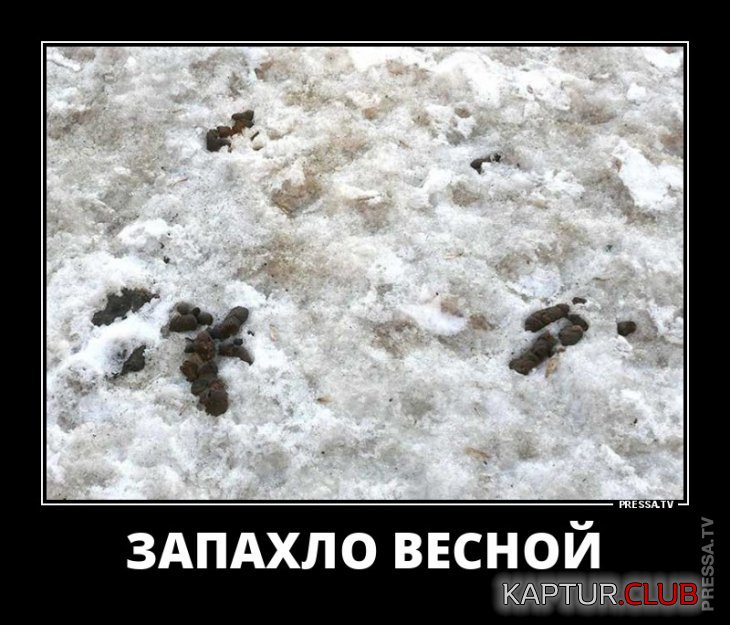 cd426a8a6804dfb8941c3db333a.jpg | Рено Каптур Клуб Россия | Форум KAPTUR.SU