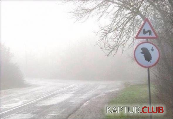 cd4a60c6a0a39293b8925cc465b_prev.jpg | Рено Каптур Клуб Россия | Форум KAPTUR.SU
