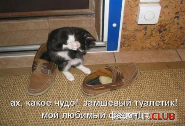 cd85fb189424352dc706fb0cdf9_prev.jpg | Рено Каптур Клуб Россия | Форум KAPTUR.SU