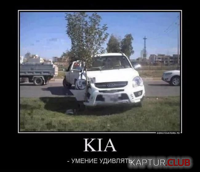 CDA16087-DF25-4EBA-9ECC-3654CB0BE350.jpeg | Рено Каптур Клуб Россия | Форум KAPTUR.SU