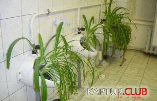 cdb256c6ce95b8c509e8e6e8e2b22bd2_full.jpg | Рено Каптур Клуб Россия | Форум KAPTUR.SU