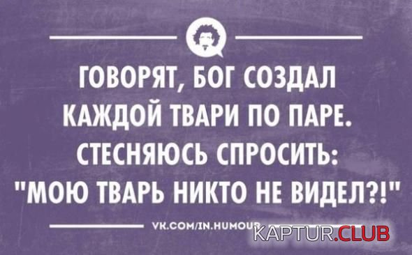 cdbcb2cc4892b5dde3049ed71b6.jpg | Рено Каптур Клуб Россия | Форум KAPTUR.SU