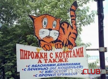 cdd4c65e071c49928d1106ca911749b6_full.jpg | Рено Каптур Клуб Россия | Форум KAPTUR.SU
