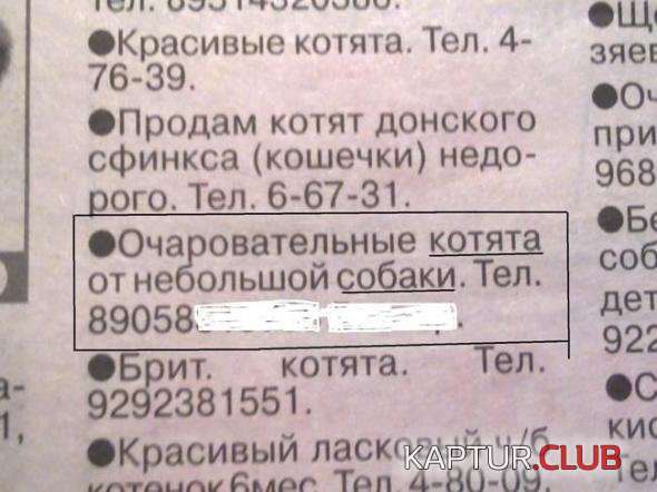cdfbc1ea8164c6e156cd73daba9_prev.jpg | Рено Каптур Клуб Россия | Форум KAPTUR.SU