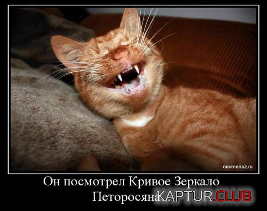 ce21b04fb544779912f1e152687.jpg | Рено Каптур Клуб Россия | Форум KAPTUR.SU