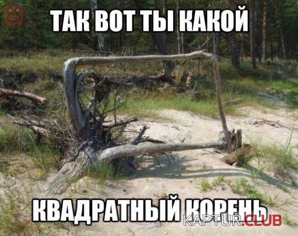 cf0130aaa1548a683326130a36f_prev.jpg | Рено Каптур Клуб Россия | Форум KAPTUR.SU