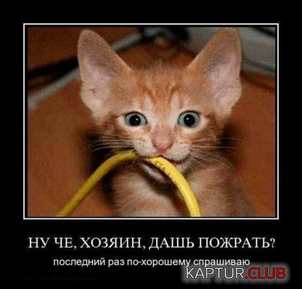 cf439ef748e0d6c10320993ca73_prev.jpg | Рено Каптур Клуб Россия | Форум KAPTUR.SU