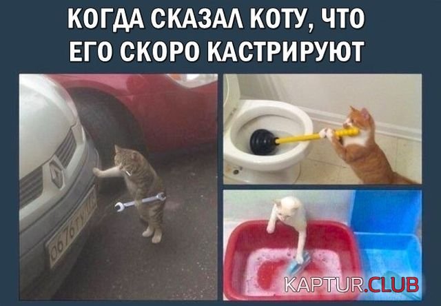 cf63d3101f70d0de3b2ae279476.jpg | Рено Каптур Клуб Россия | Форум KAPTUR.SU