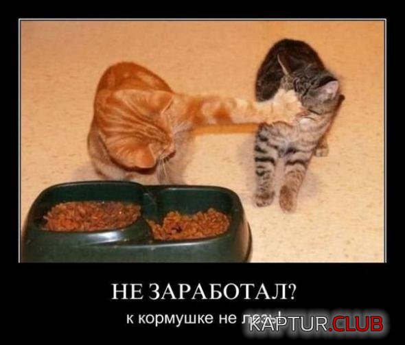cf911df876c9a7a84a54e13aa09_prev.jpg | Рено Каптур Клуб Россия | Форум KAPTUR.SU