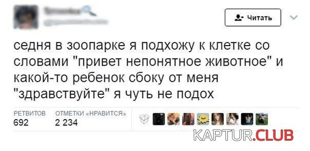 cfeab19ce0b4c3e2727bca0feb4.jpg | Рено Каптур Клуб Россия | Форум KAPTUR.SU