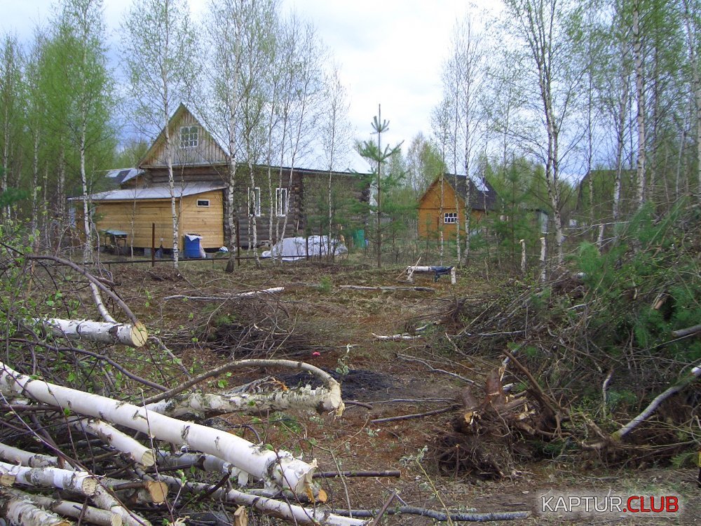 CIMG1860.JPG | Рено Каптур Клуб Россия | Форум KAPTUR.SU