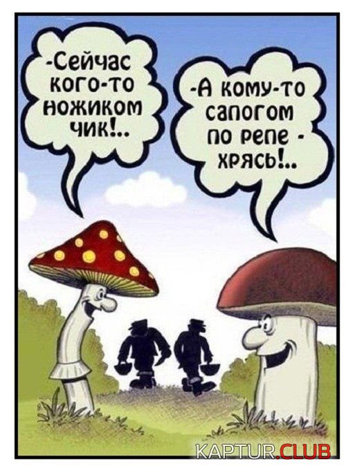 comix_04.jpg | Рено Каптур Клуб Россия | Форум KAPTUR.SU