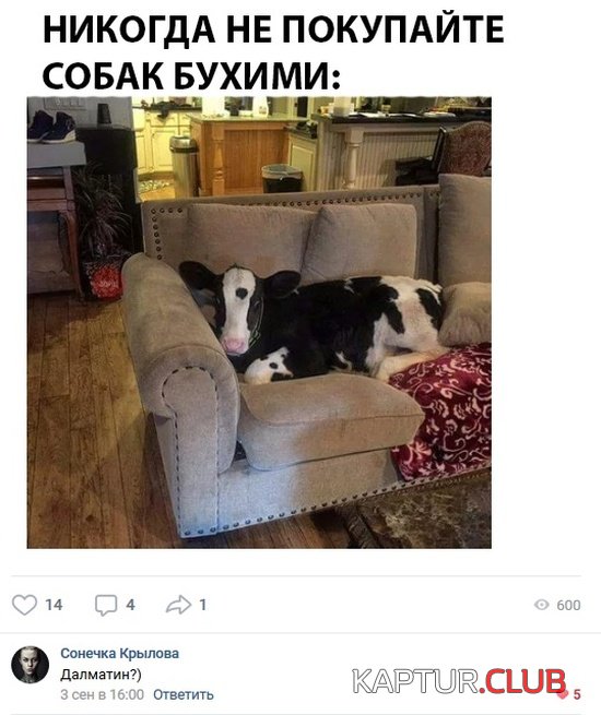 comments_25.jpg | Рено Каптур Клуб Россия | Форум KAPTUR.SU