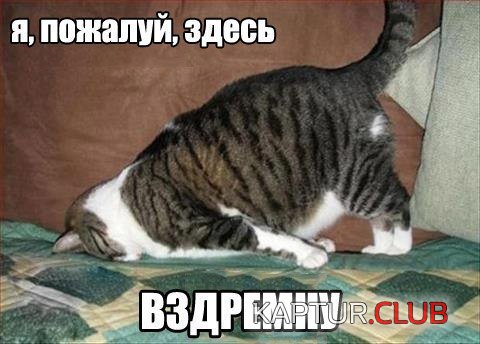 cr3kF8SJKRk.jpg | Рено Каптур Клуб Россия | Форум KAPTUR.SU