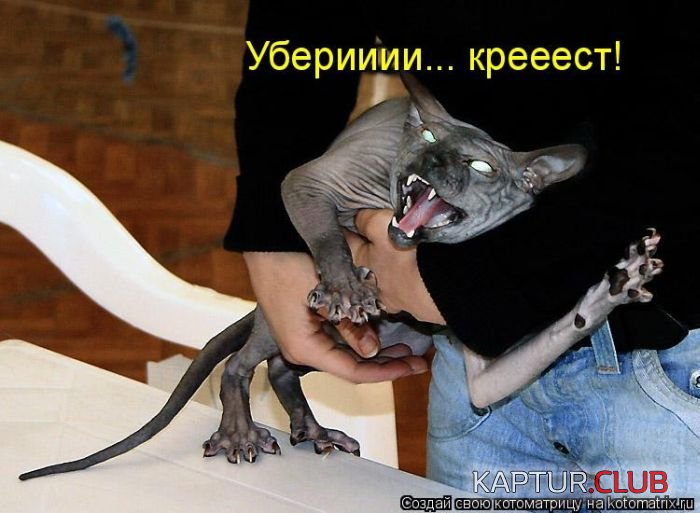 cross.jpg | Рено Каптур Клуб Россия | Форум KAPTUR.SU