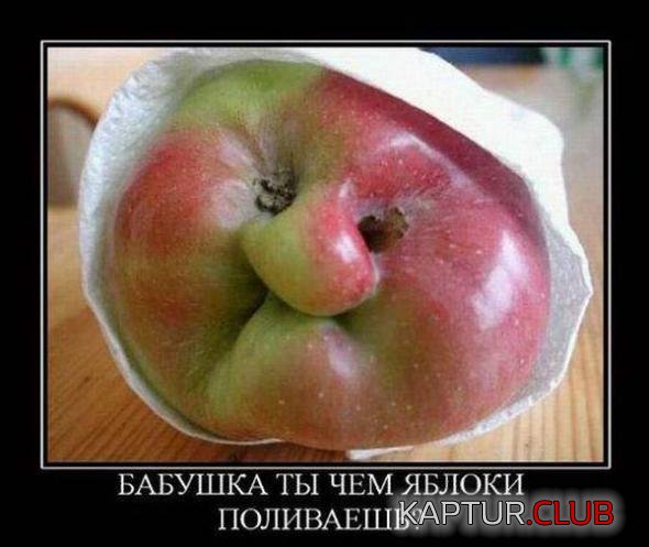 d02e80e1aee3288718fbfcd0827_prev.jpg | Рено Каптур Клуб Россия | Форум KAPTUR.SU