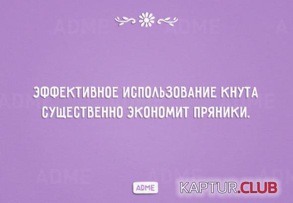 d1bcd72ae0363763aff951c6124_prev.jpg | Рено Каптур Клуб Россия | Форум KAPTUR.SU