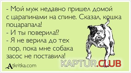 d1cf16a828ec315d482cab8108e.jpg | Рено Каптур Клуб Россия | Форум KAPTUR.SU