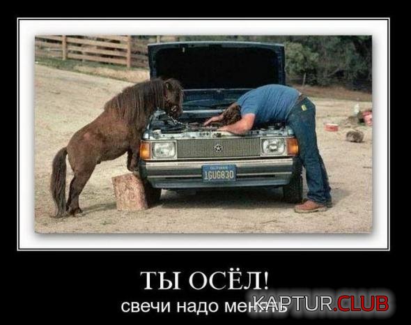d1d817f51515181fb06d784239e_prev.jpg | Рено Каптур Клуб Россия | Форум KAPTUR.SU