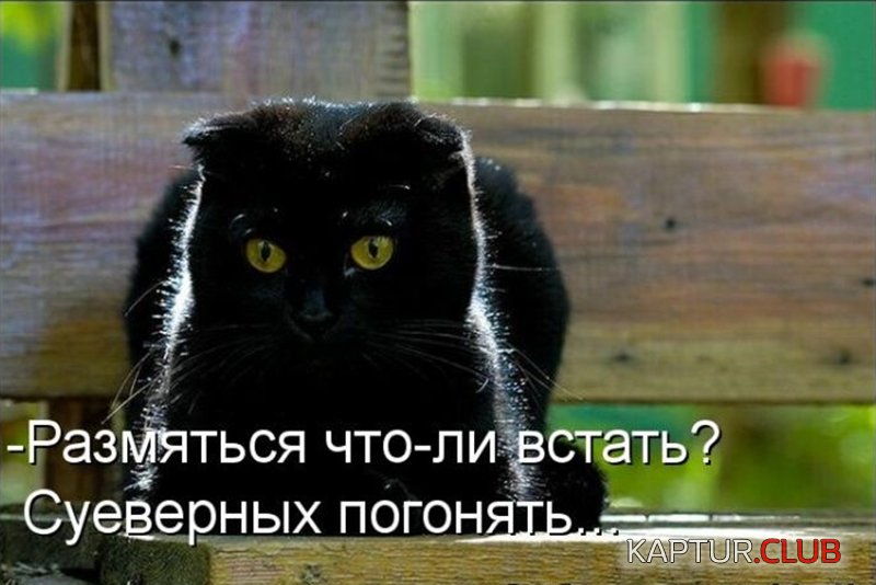 d21c87eb2ae7c1714201c0f113f.jpg | Рено Каптур Клуб Россия | Форум KAPTUR.SU