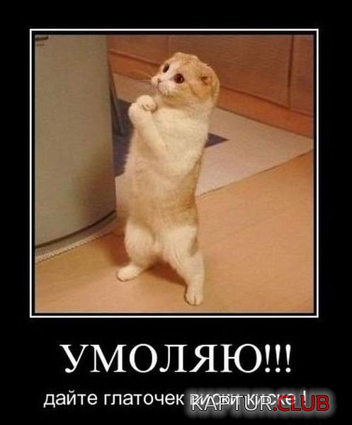 d2b147de86ea3ed86719c104c18.jpg | Рено Каптур Клуб Россия | Форум KAPTUR.SU